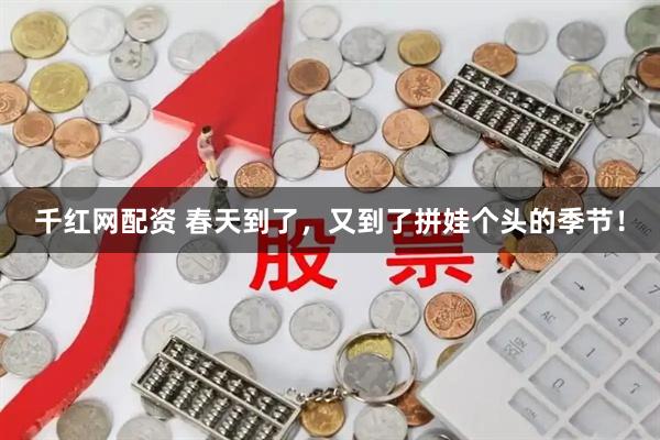 千红网配资 春天到了，又到了拼娃个头的季节！